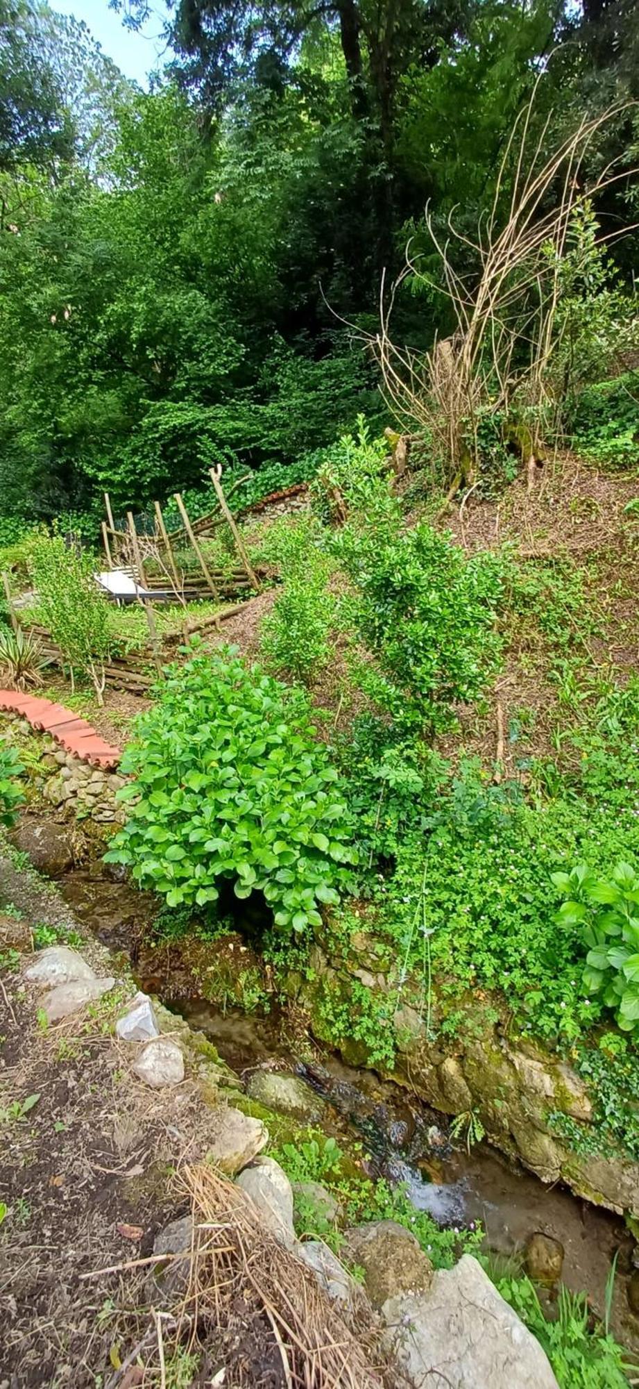 La Casetta Nel Verde Como Zewnętrze zdjęcie